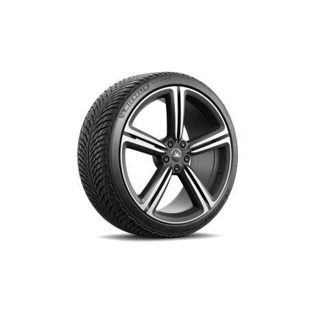 MICHELIN 235 65 R17 104H TL PILOT ALPIN 5 SUV